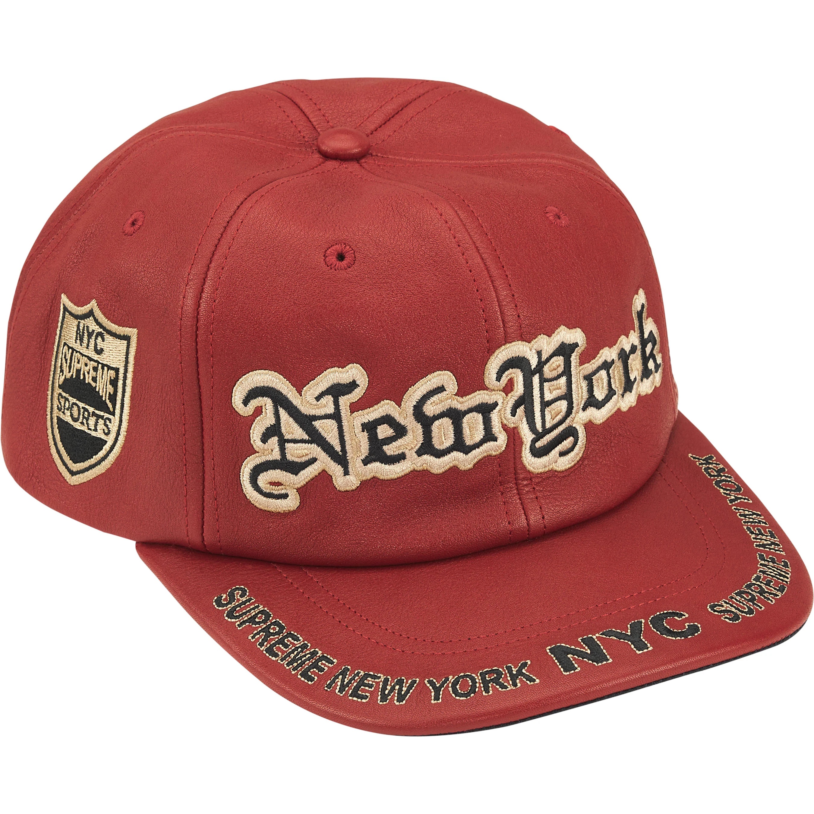 New York Leather 6-Panel view 2